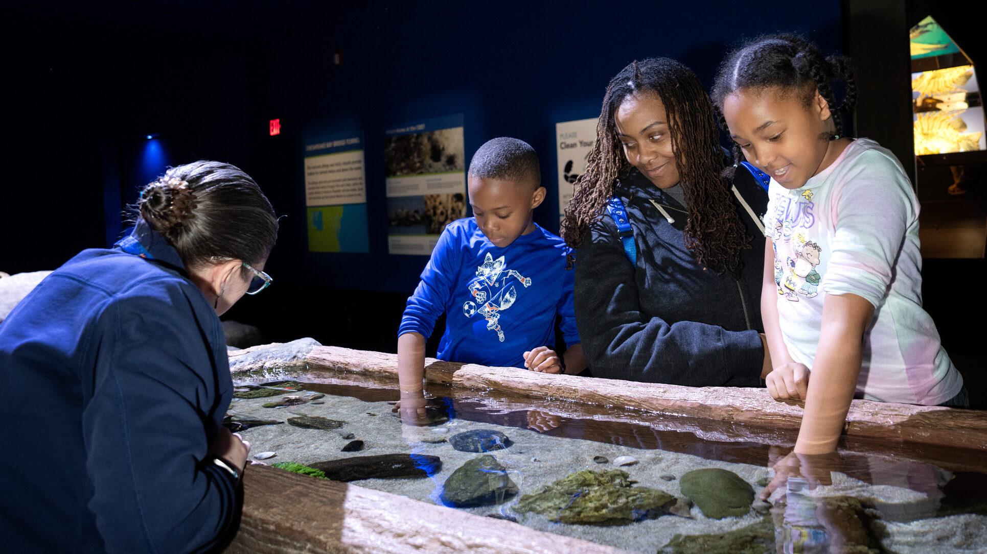 A parent and two children explore the Chesapeake Bay touch pool with a staff member