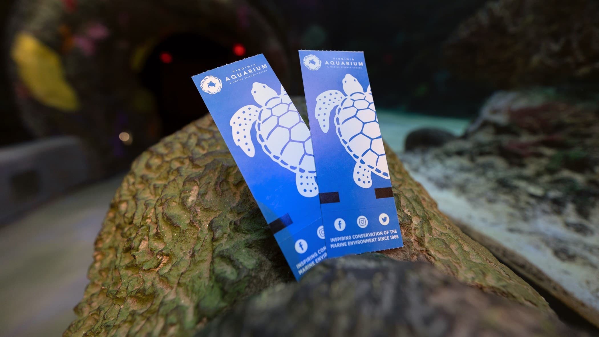 Aquarium tickets wide