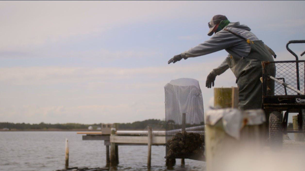 A fisherman casts a net out into the water from a pier