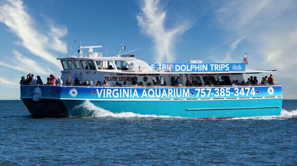 Day Trips from Virginia Beach: Discover Hidden Gems Nearby