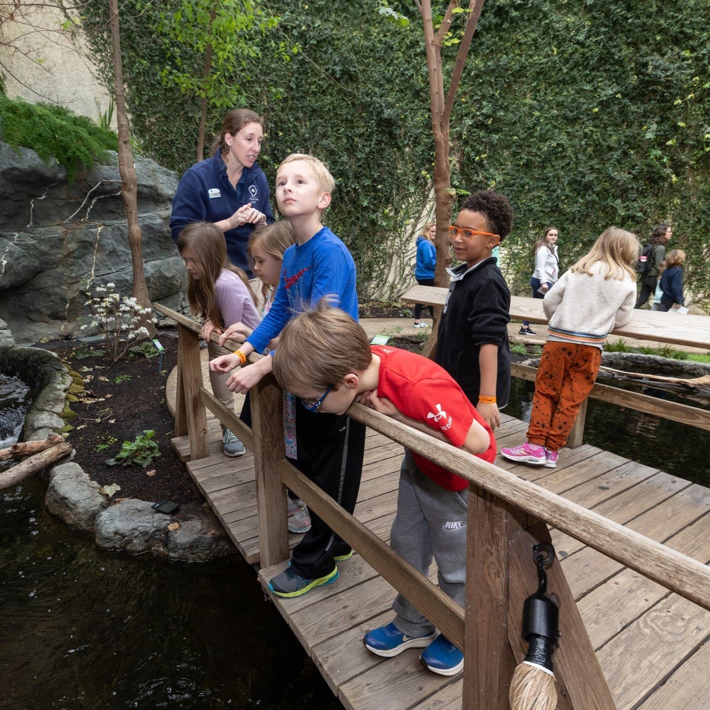 Spring break campers stand on the bridge in the Upland River Room