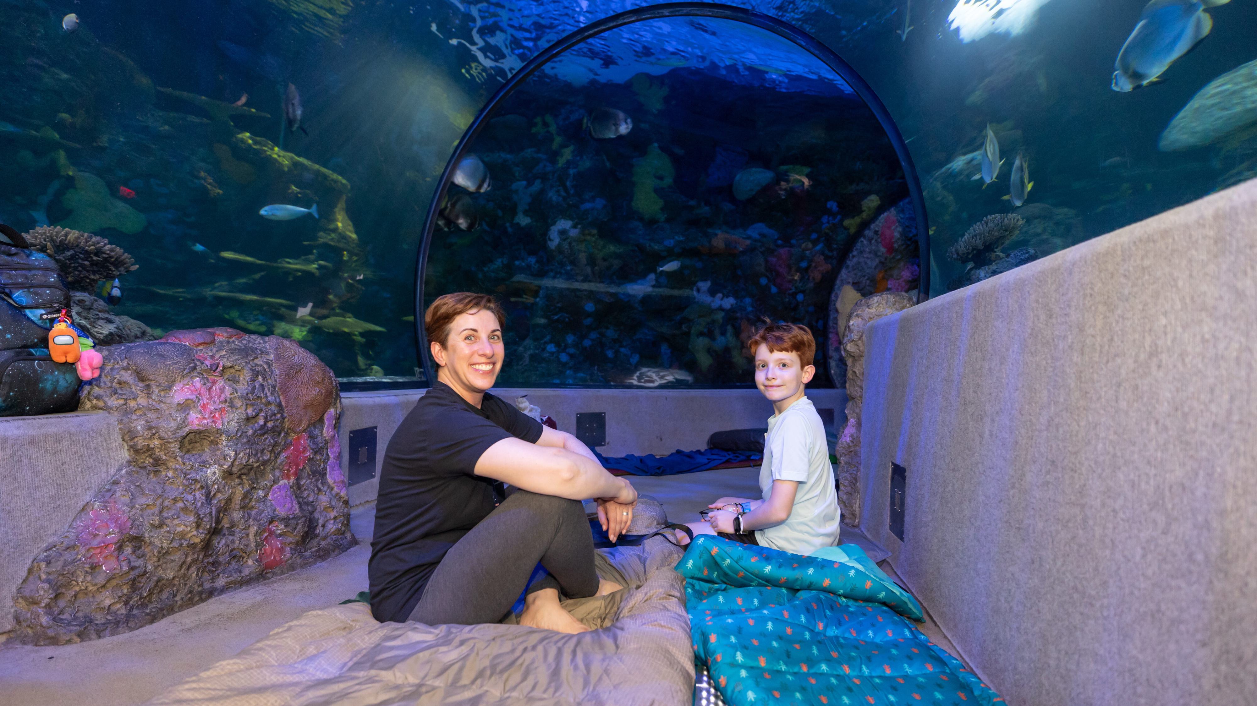 Parent and child at Aquarium overnight.