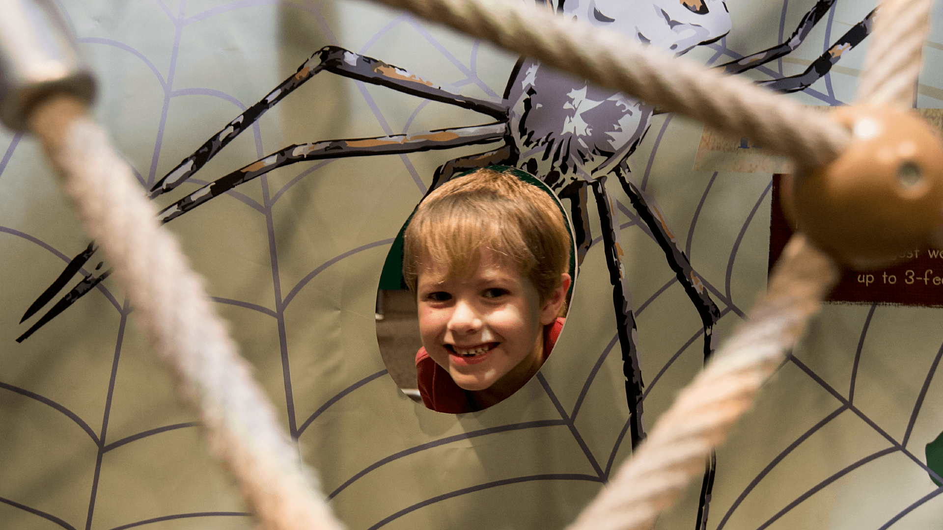 Guest in Spiderweb in Rainforest Adventure Exhibit