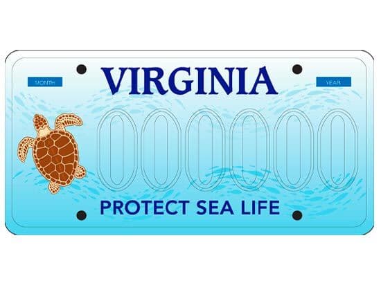 Protect Sea Life License Plate