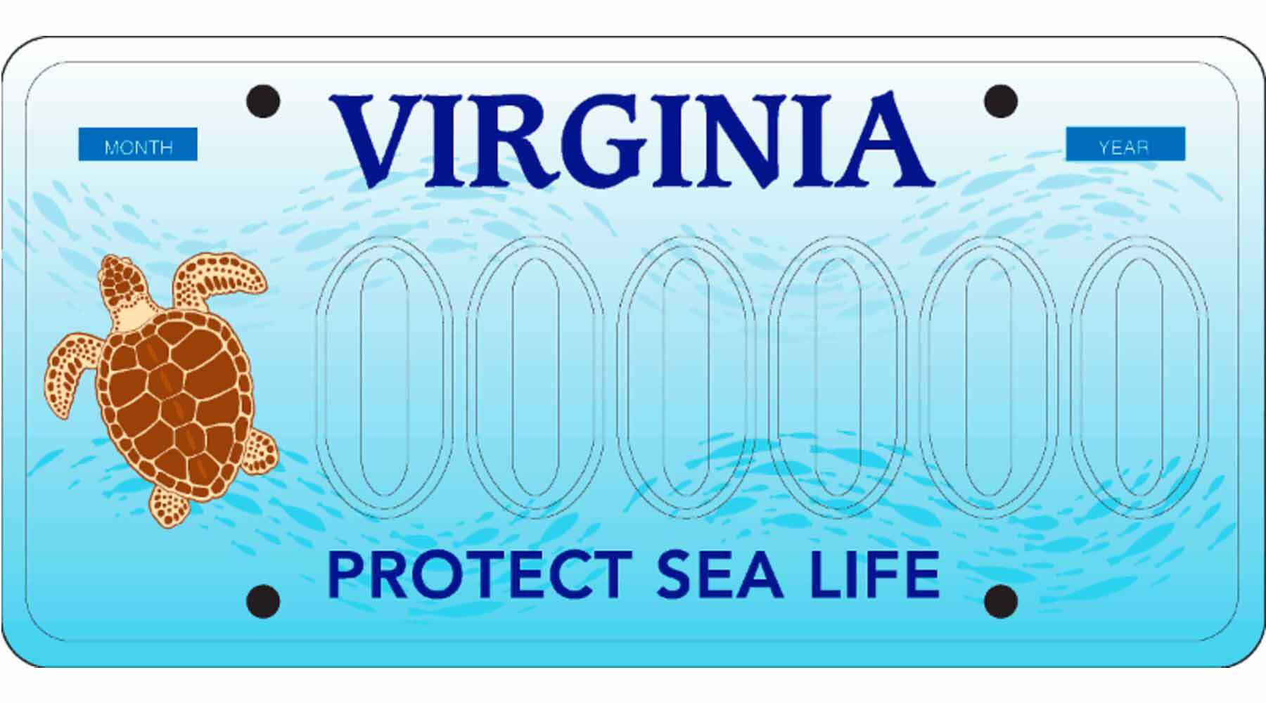 Virginia Protect Sea Life License Plate
