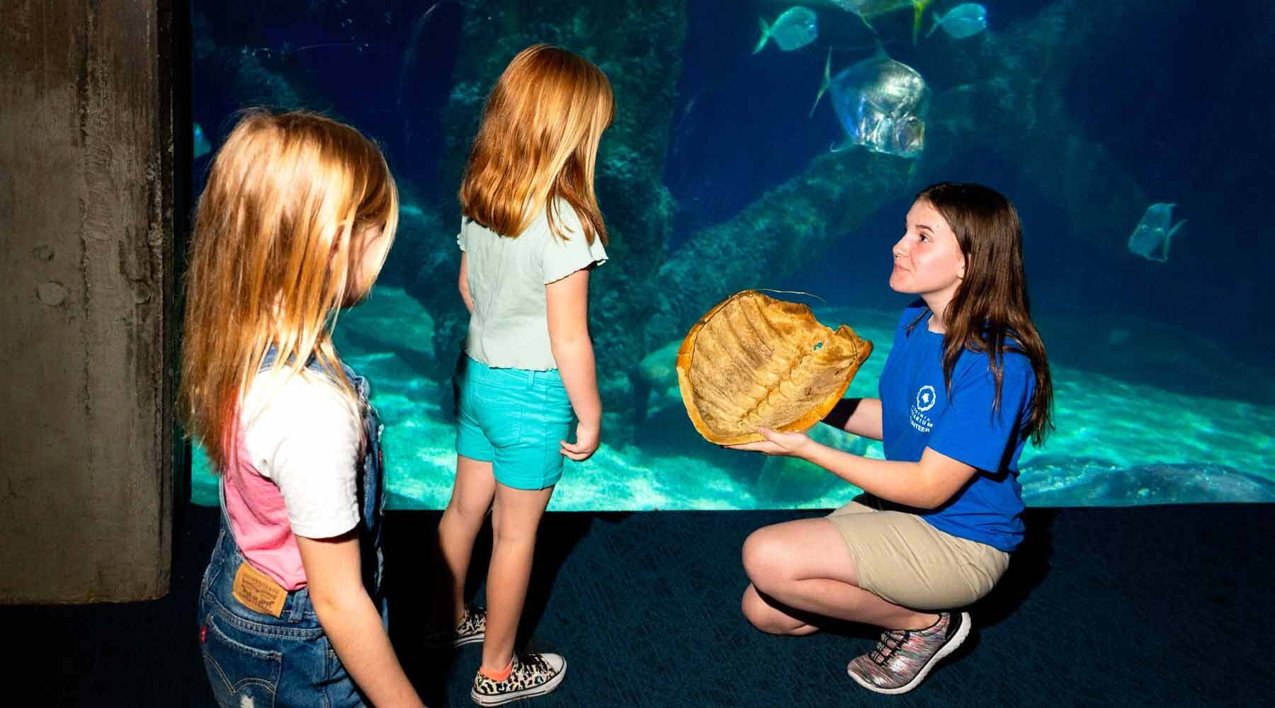 Volunteer Showing Kids a Turtle Shell