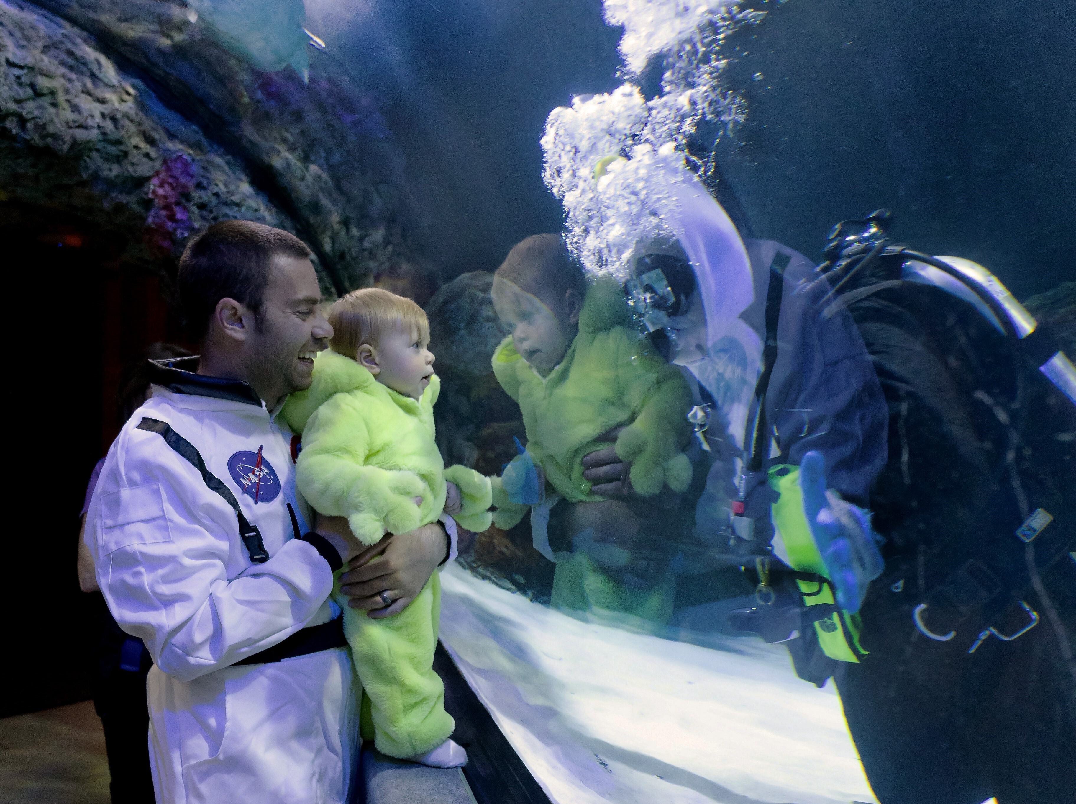 Dad dressed as astronaut and baby dressed as alien look into exhibit with scuba diver