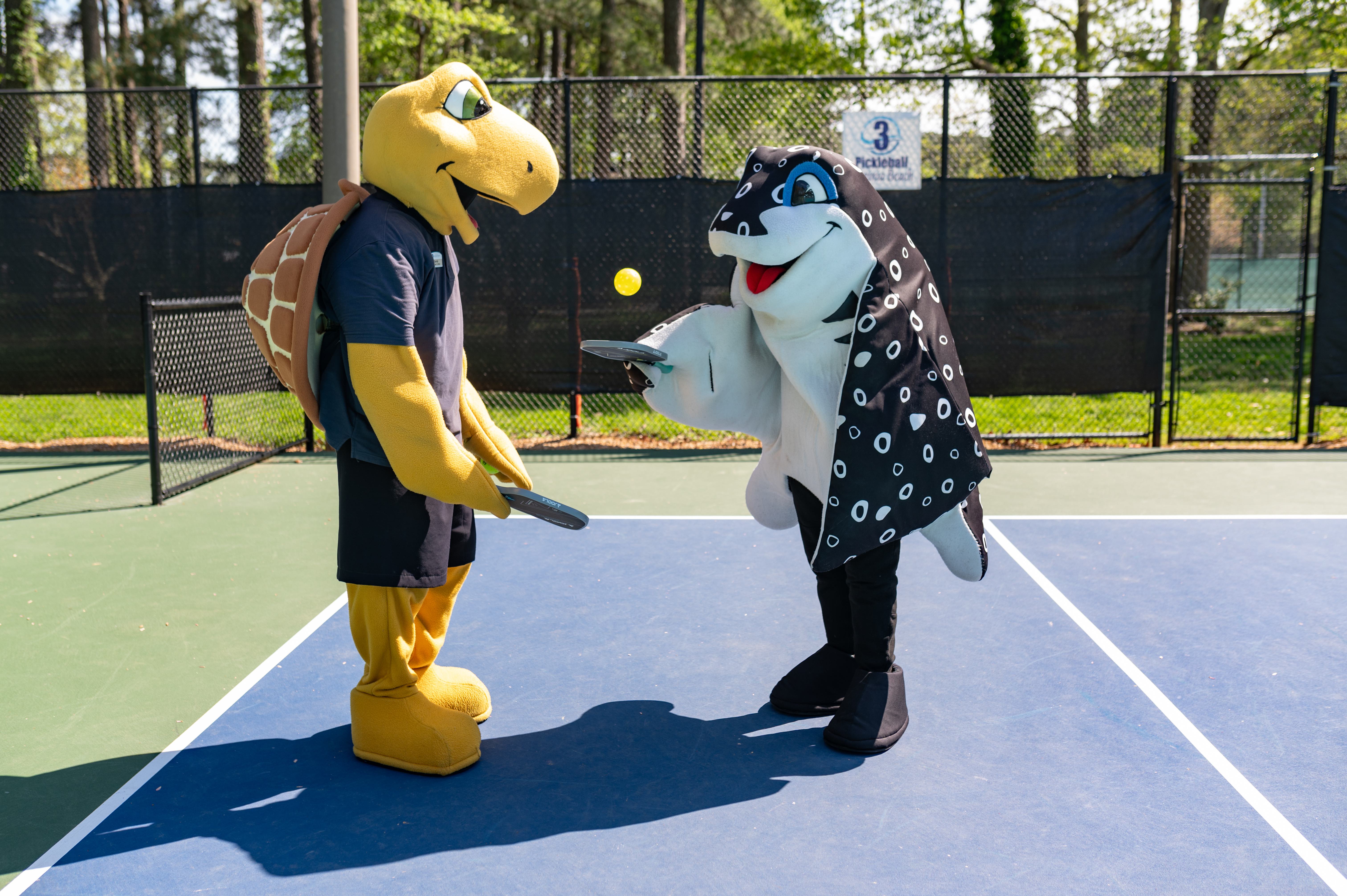 Mascots Sandy the sea turtle and Speckles the spotted eagle ray play pickleball