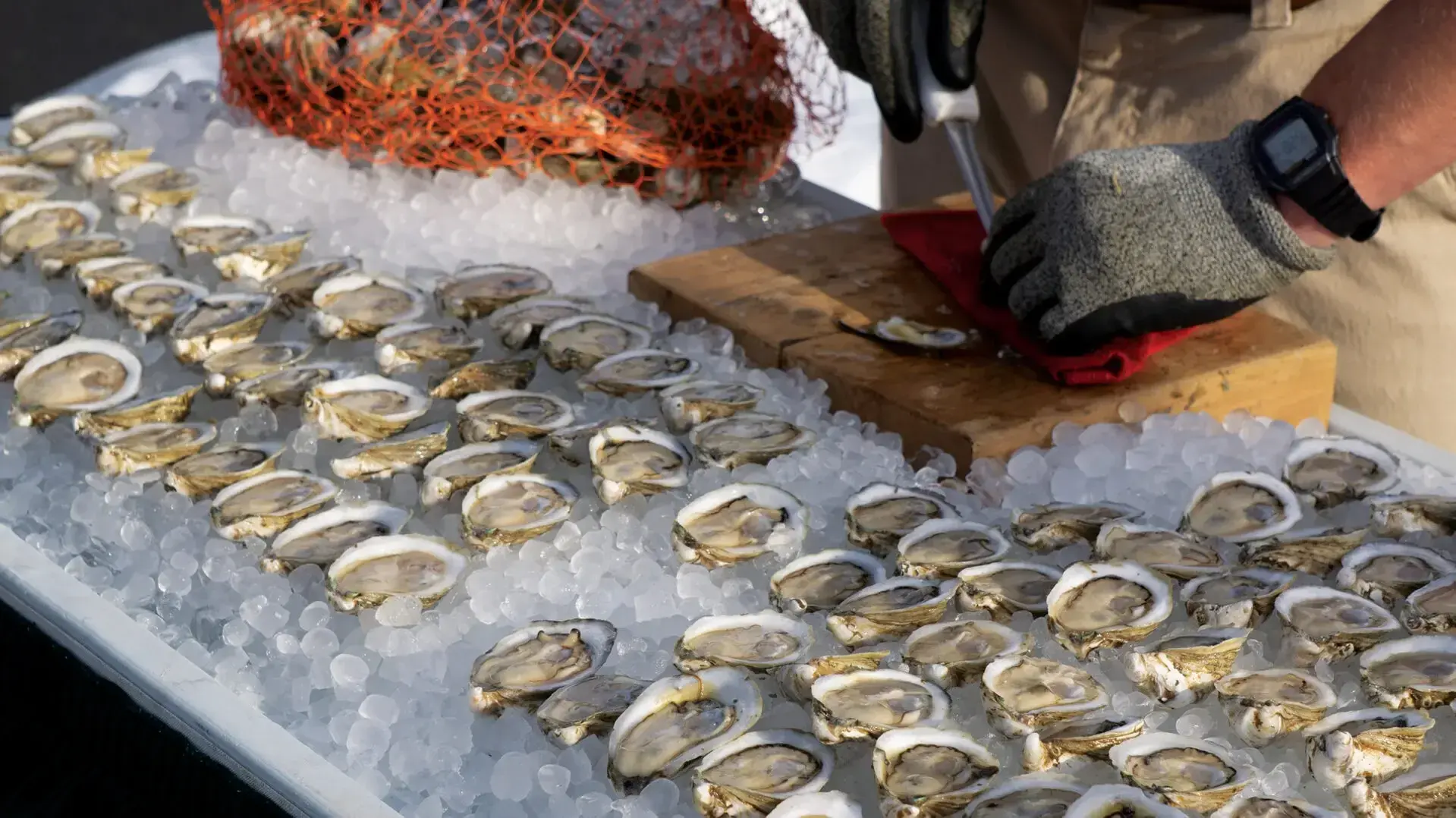 Half Shell Trade Virginia Aquarium Hosts Sustainable Oyster Event, Hops & Half Shells ...