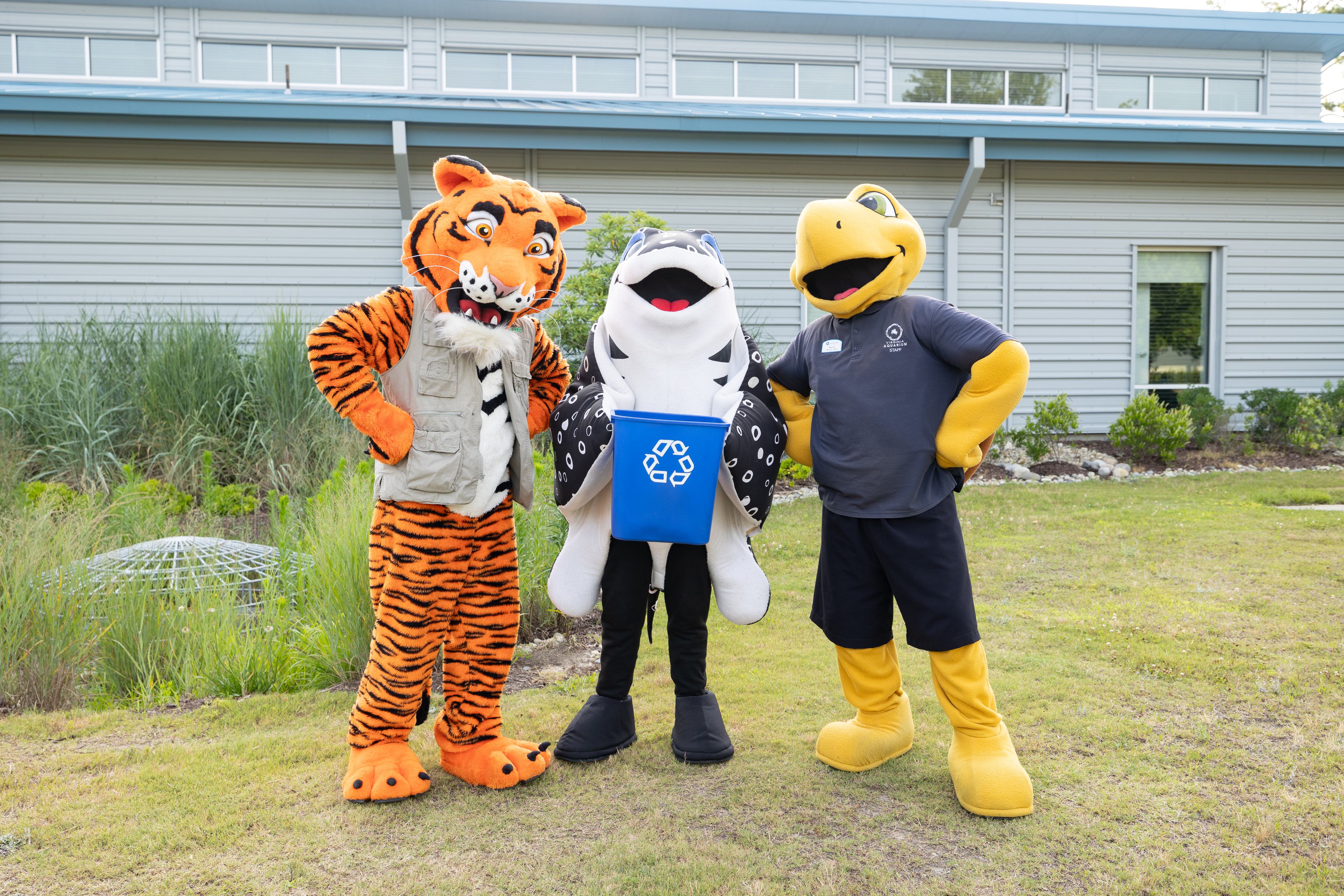The Aquarium mascots Sandy the sea turtle and speckles the spotted eagle ray recyle with the Virginia Zoos macot Tango the tiger
