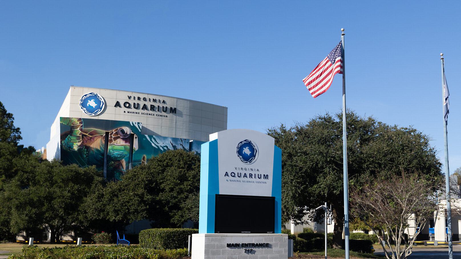 The American flag flies from the flagpole in front of the Aquarium's North Building.