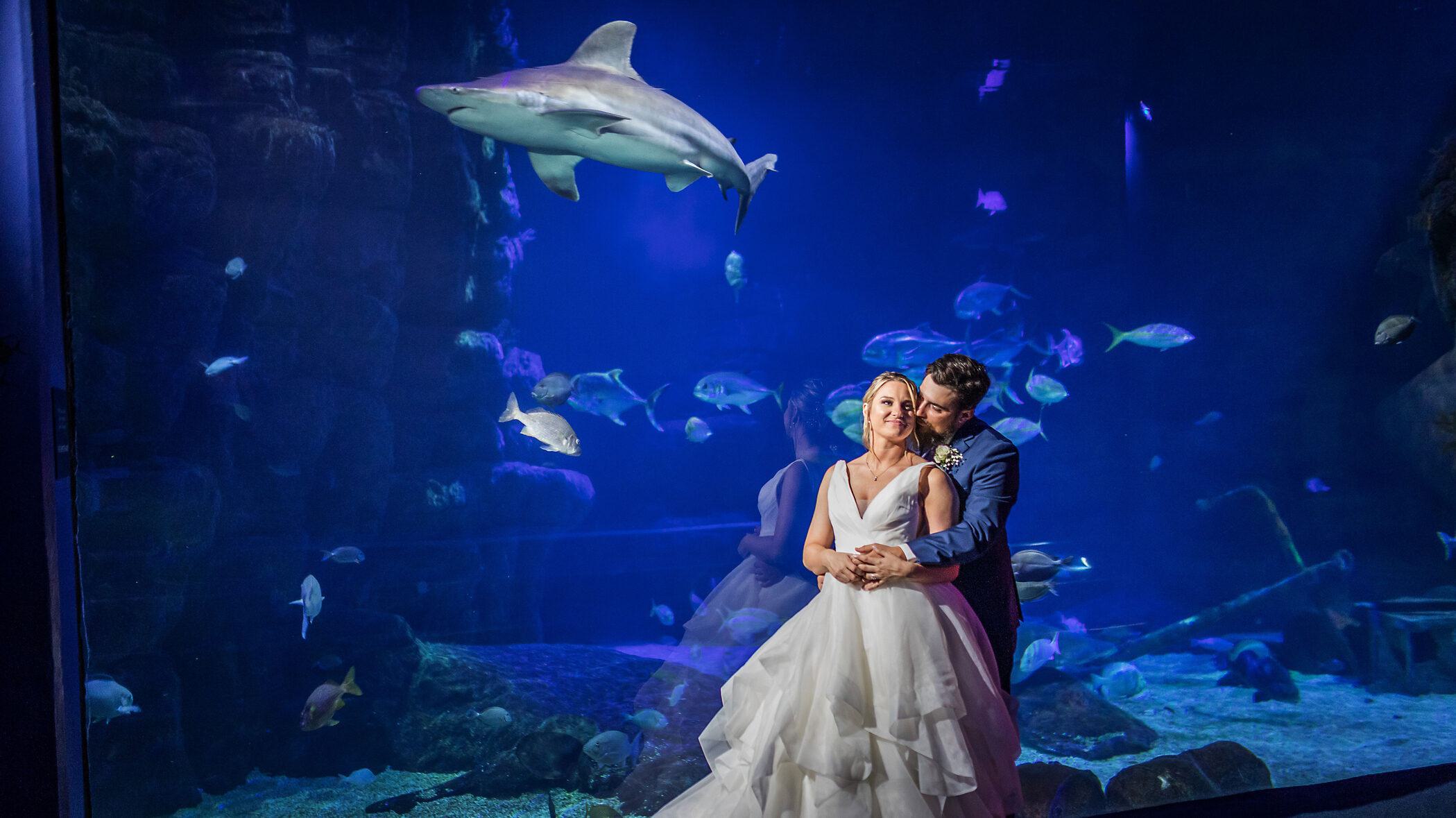 Groom embracing and kissing his bride in front of the Norfolk Canyon Aquarium.